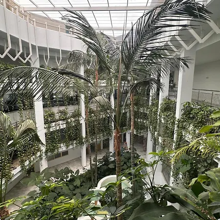 Benalbeach Playa 贝纳尔马德纳